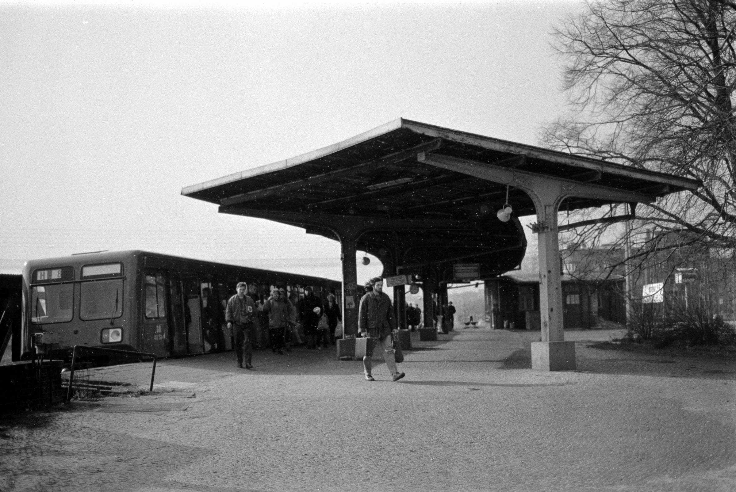 AHP F1993 03 005 sc240902 img06 NLP